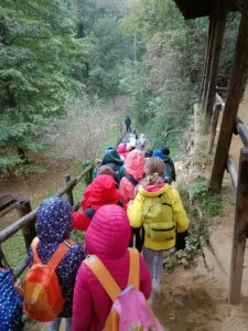 Bambini in fila lungo il sentiero nel bosco che porta all’apiario